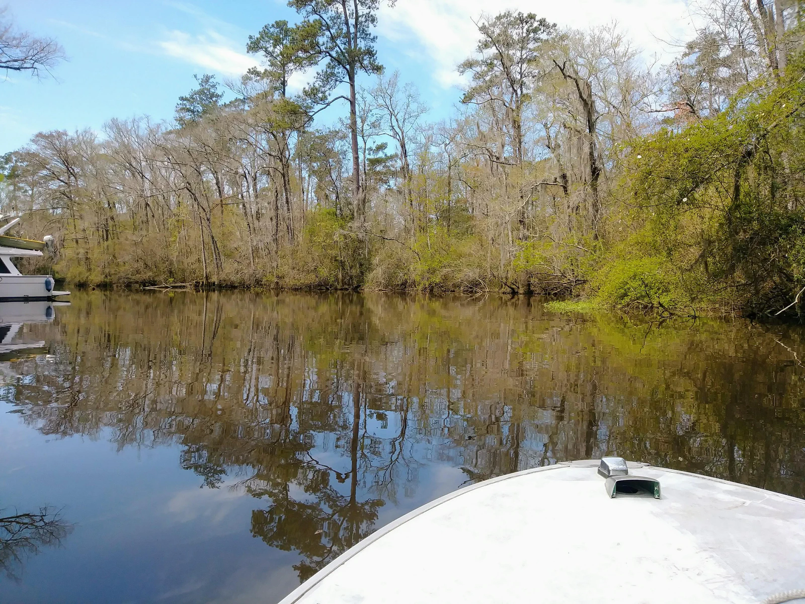 Stained bayou water reflecting tree-lined banks in Southeast Louisiana